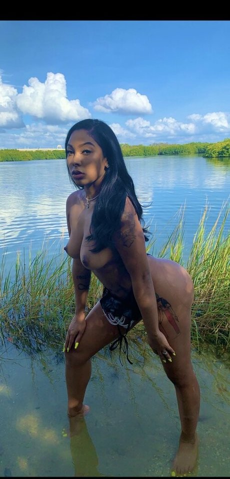 sashastallion star perfect pictures