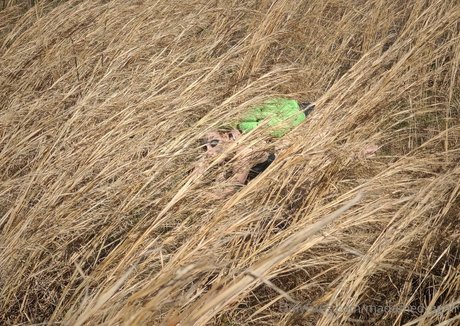 redhead pov onlyfans sexy nude picture