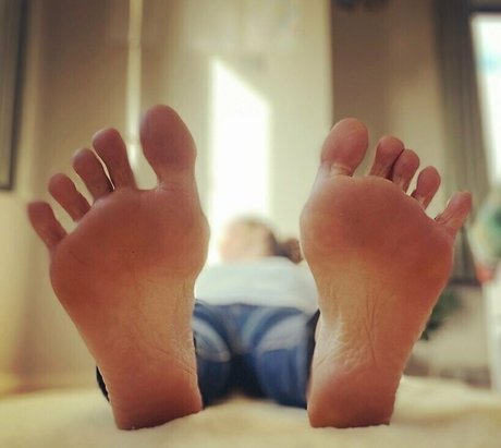 hazel high arches top profile image