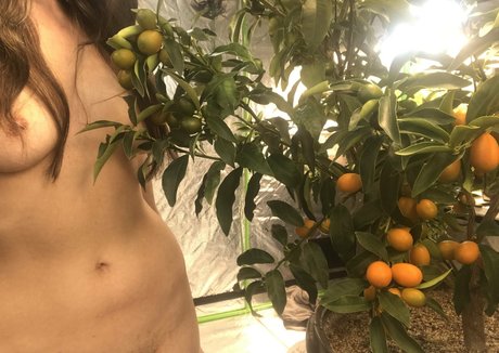 ivystar pornstar erotic photos