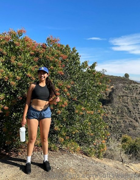 softswapme star top archive