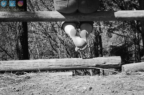 shelbymustaine profile image