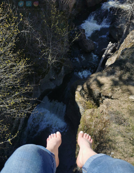 shelbymustaine top profile image