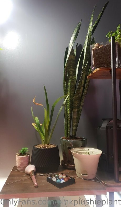 amateur bbw onlyfans hot sex galleries