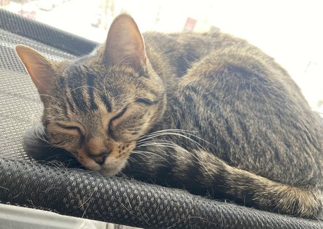 ai onlyfans porno image