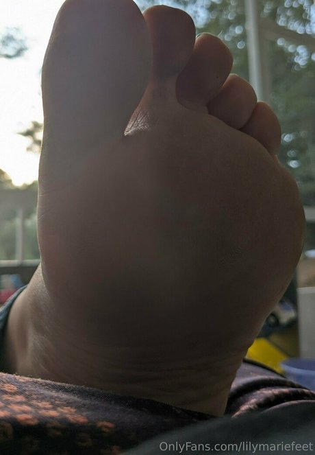 lilymariefeet xxx pornstar pic