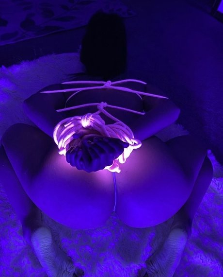 araxoxo perfect star pictures