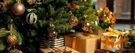 tvojenelinka porn star pictures