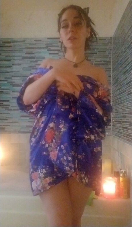 Phaestar model top pic