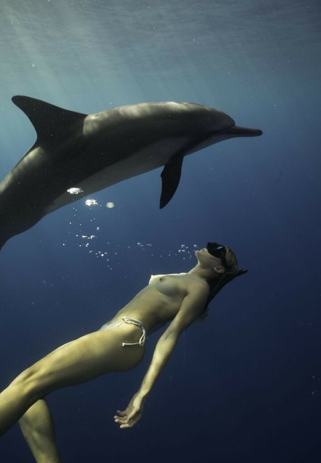 lesbian anal strapon onlyfans erotic photo