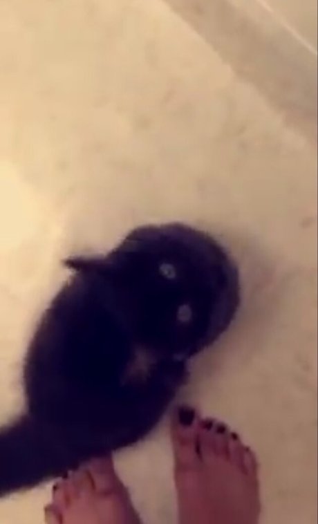 Trickywi hot actress photo