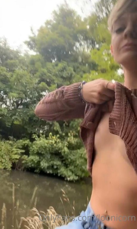 loonicorn model top img