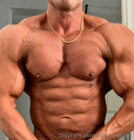 cult of apollo model galleries