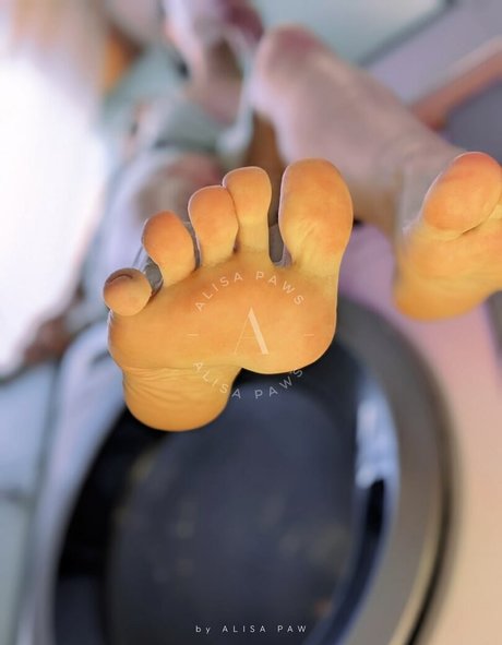 Alisa Paws star pornographic galleries