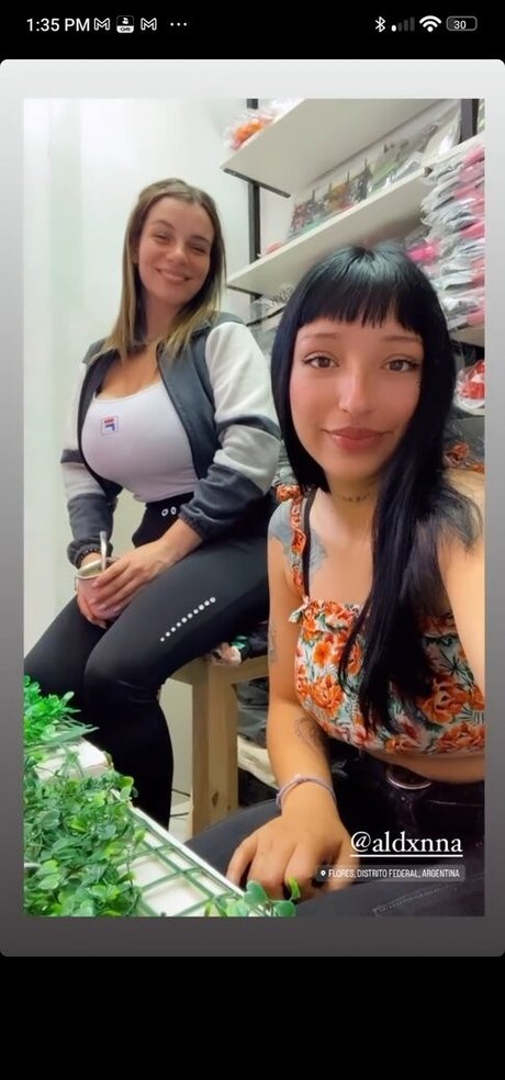 Micaperle star adult picture