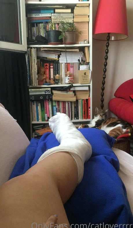 catloverrrr star hot img