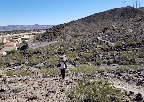 mialelanixxx pornstar free images