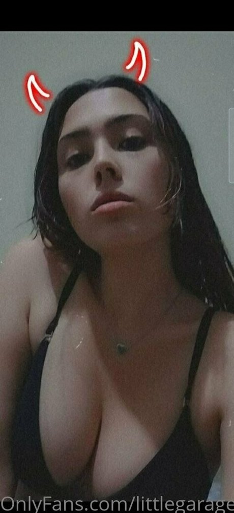 littlegarage 1 pornographic star image