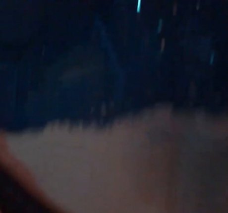 No bo dy pornstar free gallery