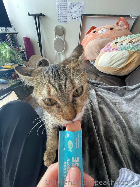 teen shemale onlyfans beautiful naked galleries