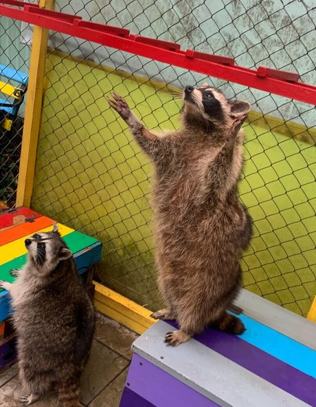 skyrror best actress photos