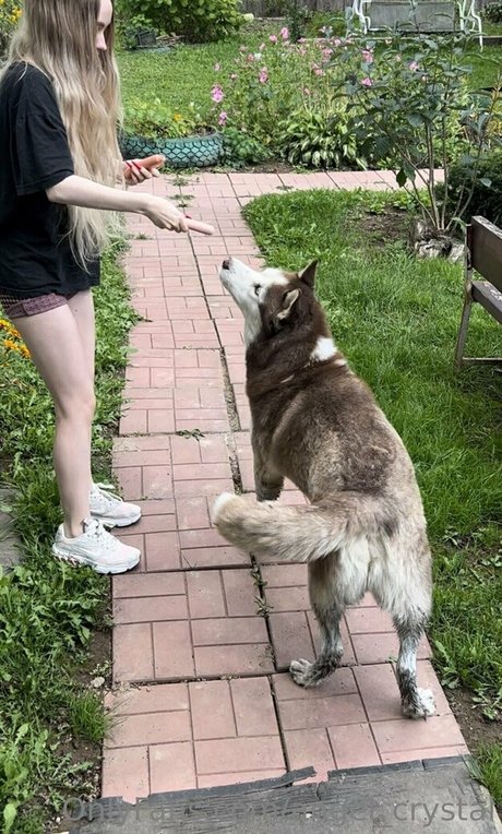 angel crystal model top photos