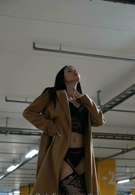 katanacat star high quality gallery