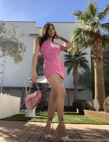 thefelicityfox pornstar art galleries