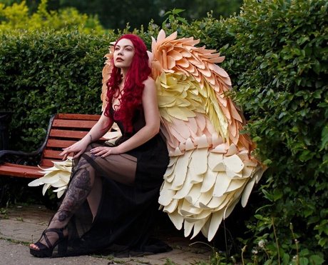 Mi2ray Cosplay hd star gallery