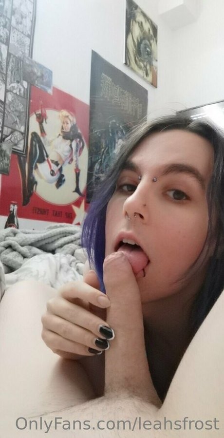 frostryo star perfect images