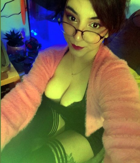 the bad choices art star photos