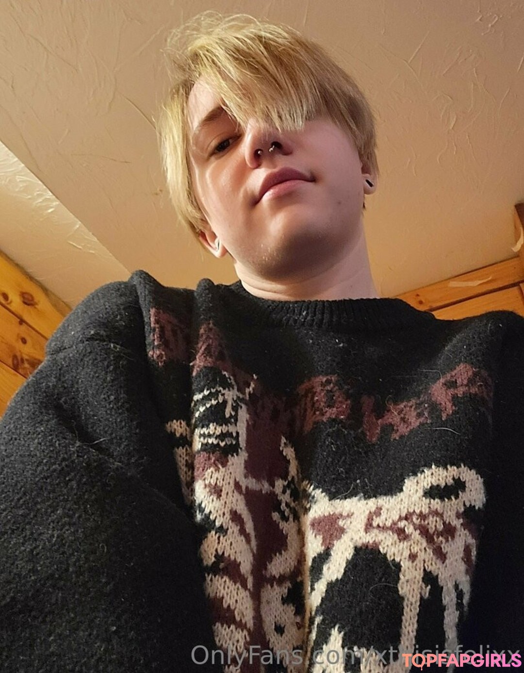 xthisisfelixx model art image