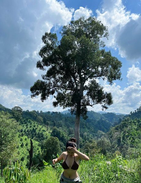 nam093178 hot star archive