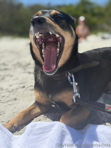 lackofskillets pornstar erotic photo