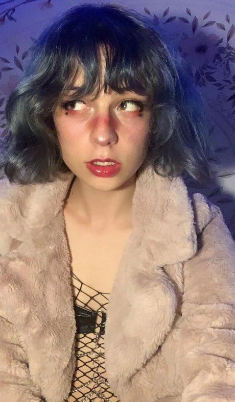 Cd Bell top profile image