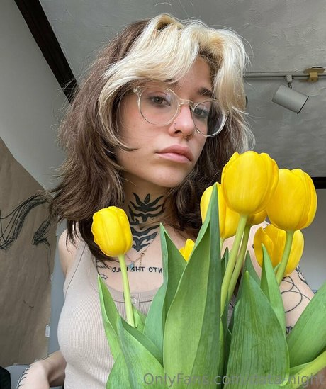 data night nice star pictures