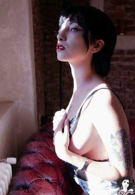 Glacialuz pornographic star galleries