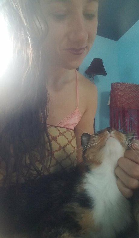 katcalico nice model archive