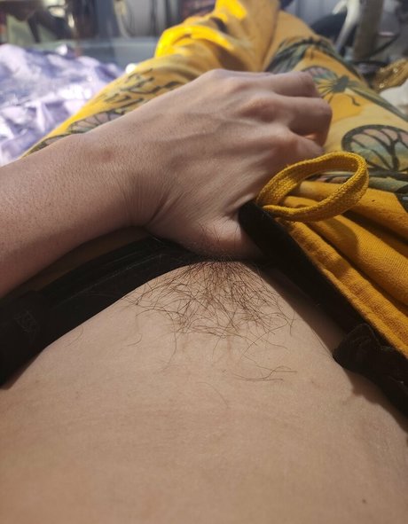 katcalico star perfect galleries