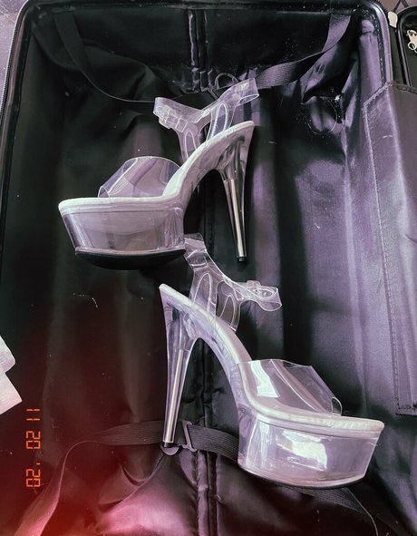 x asianbbw x top profile image