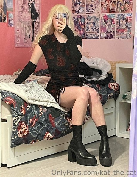 kat the cat top profile image