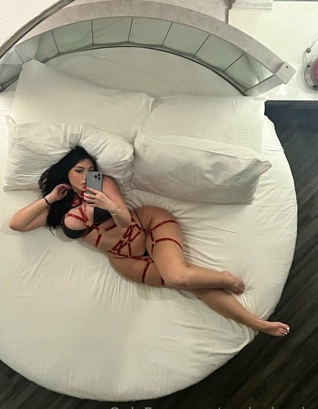 avalouisevip nude pornstar photos