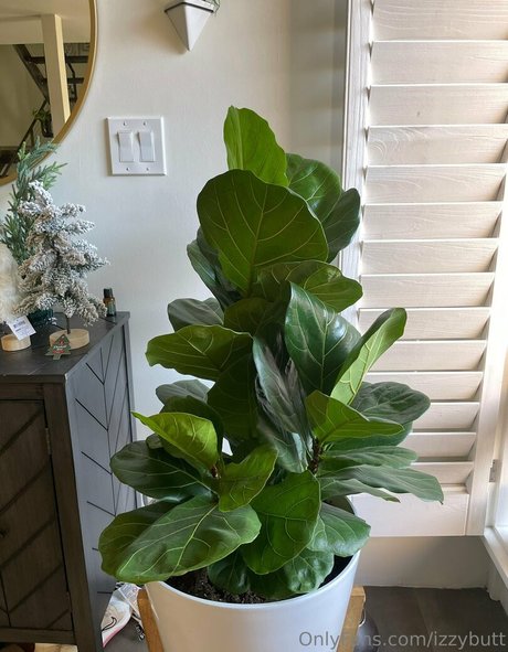 izzybutt sex pornstar photos