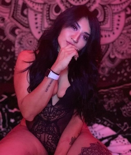 Gyp5y Mac star free archive