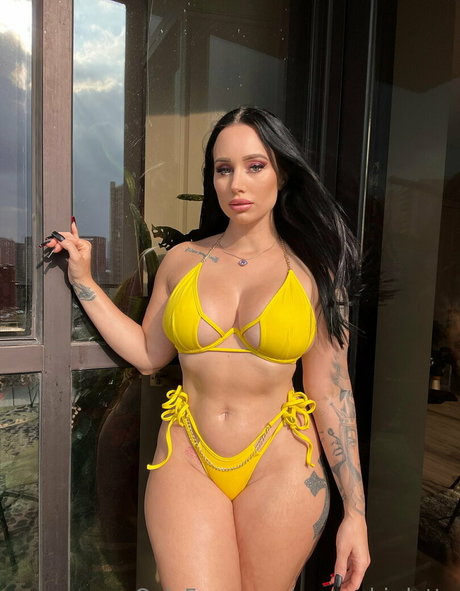 moneybirdette star art img