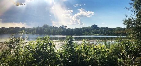 blowjob brunette onlyfans free porn pictures