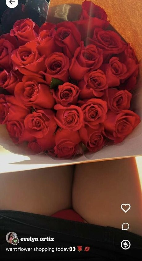 Evelyn Ortiz model hd gallery