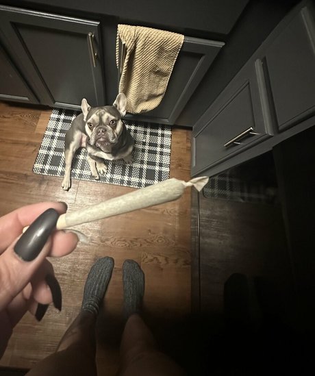 ebony ssbbw onlyfans art porn images