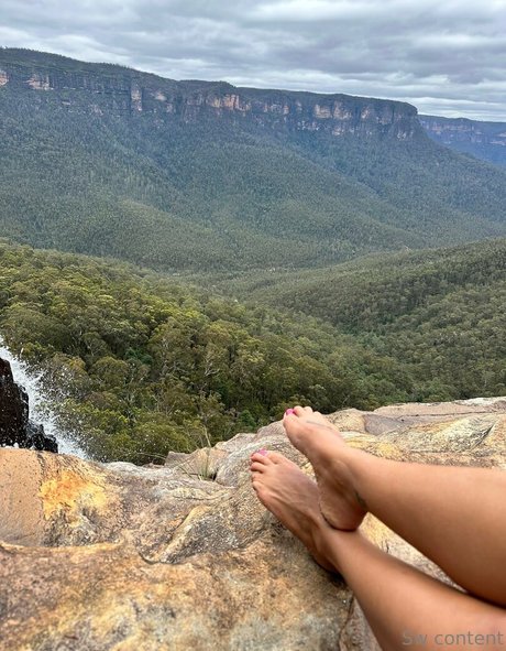 Sammy Walsh star adult image