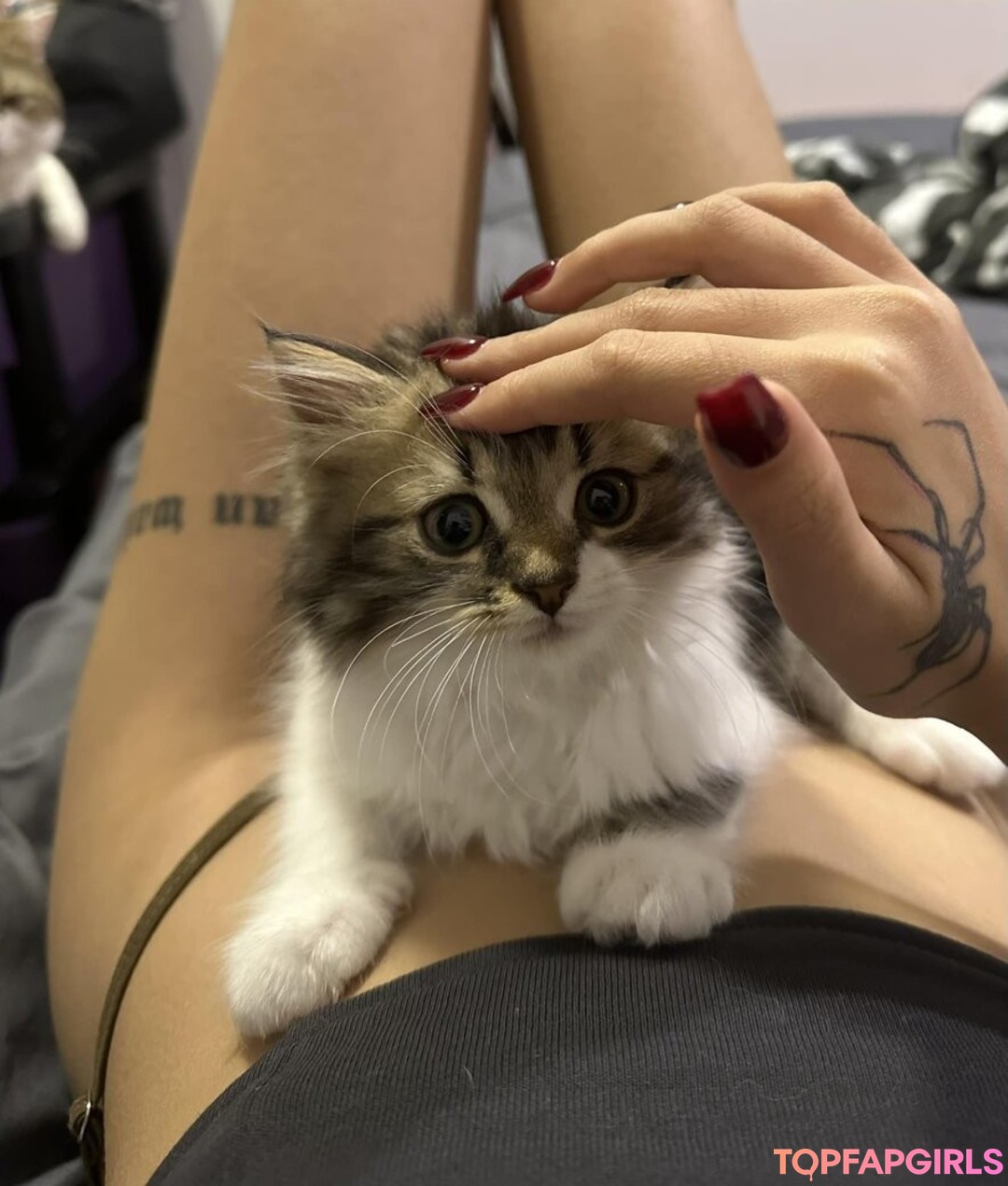 Gupgiiiiift free pornstar gallery